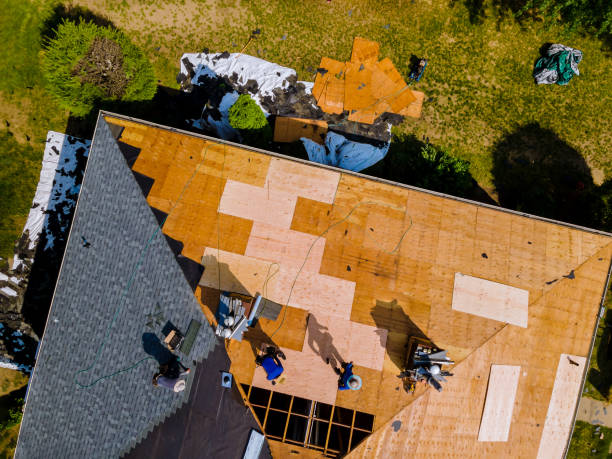 Best Roof Maintenance Services  in Harvard, NE