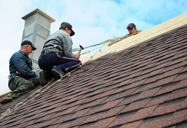 Best Storm Damage Roof Repair  in Harvard, NE